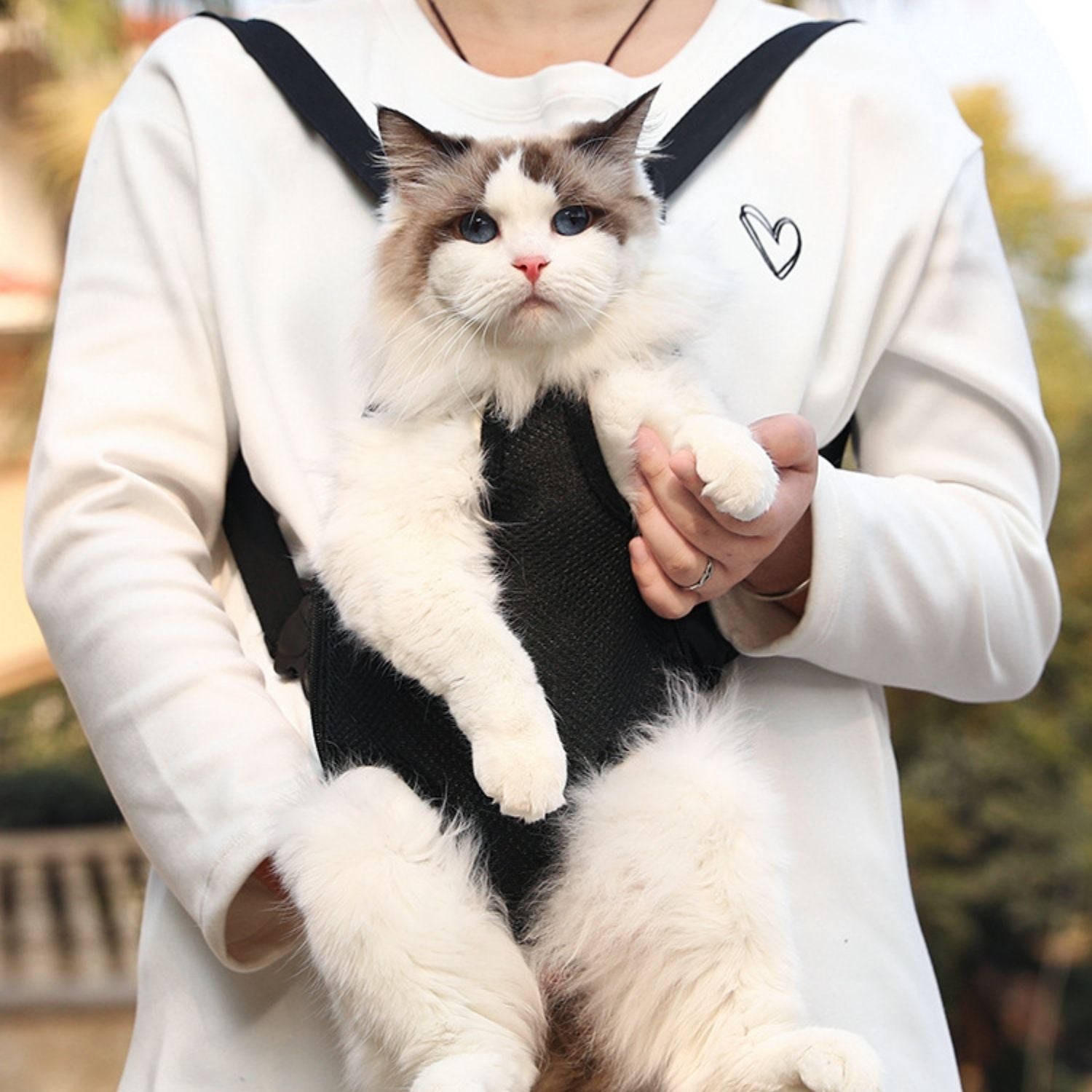 Huisdier Avonturenpakket kat gedragen in draagtas voor op reis